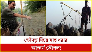 ভোঁদড় দিয়ে মাছ ধরার আশ্চর্য কৌশল!