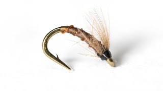 Boroff's Exo Emerger