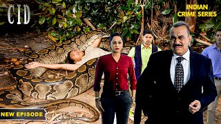 इस एक अजगर ने डाली 20 लोगों की जान खतरे में |CID | CID Best Episode | CID New Episode 2024 | TV Show