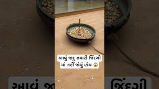 આવું જાદુ તમારી જિંદગી માં નહીં જોયું હોય 😱 #viral #trending #ViralVideo #Reels #funny