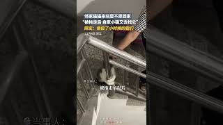 鄰家貓咪玩耍後不願回家 網友：像極了小時候的我們 | 中國大陸 萌寵 #shorts #funny