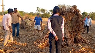 विषारी नागाला पाहून मोरगावात भीतीने दंगा! जबरदस्त व्हिडिओ