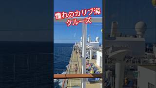 【これ見たら乗船したくなる事間違いなし‼️】海外クルーズ #クルーズ #海外 #海外旅行