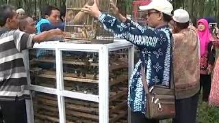 PELEPASAN BURUNG BERSAMA MINARDI MURSYID 11 Desember 2016