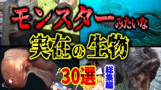 【閲覧注意】あらゆる意味でモンスターみたいな実在生物 30選/架空世界/異形/巨大・怪獣/not UMA/未知の新種/深海生物【リライト総集編/ゆっくり解説】【睡眠用・作業用】【生物面白雑学】