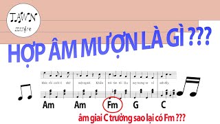 Hợp âm mượn là gì (borrowed chord) | Hoà âm | Tawn Music