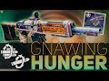 Destiny 2 | Gnawing Hunger Review (Auto Rifle Review)