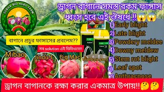 ড্রাগন বাগানে সমস্ত রকম ফাঙ্গাস ধ্বংসের মহাগুরু এই ঔষধ!! 😱😱😱