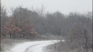 Első hó a 2015-16-os télen - 2016.01.01. - Várpalota - First snow in the 2015-2016 winter