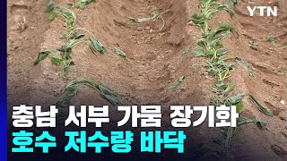 충남 서부 가뭄 장기화...농지도 공단도 갈증 깊어져 / YTN