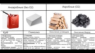 Интенсивность нагрузки и  системы энергообеспечения