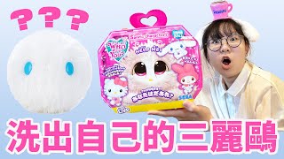 【開箱】神秘毛球! 自己洗出可愛三麗鷗驚喜盒 My Melody 大耳狗 Hello Kitty 會洗出誰? [NyoNyoTV妞妞TV]