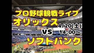 【オリファン集合】ソフトバンクホークスvsオリックスバファローズ【酔酔酔】