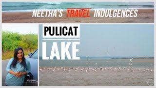 Pulicat Lake #travel #sausagefriedrice #prawnsrecipes #camping #pulicatlake #travelinspiration