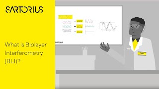 Biolayer Interferometry (BLI) | The Biophysics Behind the BLI Technology, Explained
