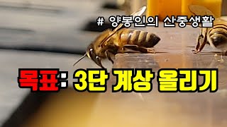 2021년! 올봄 목표는 3단 계상 올리기랍니다