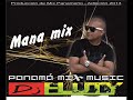 mana mix dj fluty 2013.