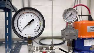 รีวิว เกจวัดความดัน ติดไดอะแฟรมซีล uPVC | Pressure gauge with diaphragm