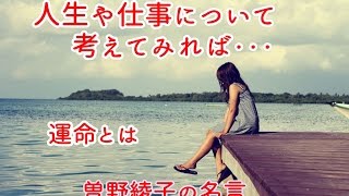 【名言・格言・感動する言葉】人生や仕事について考えてみれば・・・運命とは　/曽野綾子の名言