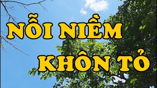 Hồi Ký Miền Nam | NỖI NIỀM KHÔN TỎ