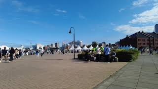 Walk in Tokyo Yokohama Seaside (横浜散歩) | Japanese Neighborhood