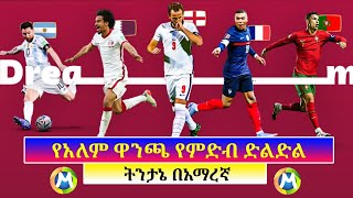 የ2022ቱ የአለም ዋንጫ የምድብ ድልድል ትንታኔ በአማረኛ