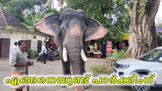 വേണേൽ ഞാൻ എടുത്ത് മാറ്റാം കേട്ടോ #thirunakkara sivan #sivan #elephant