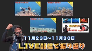 🐠２０２４年１１月２３日〜１１月３０日の一週間を振り返ります🐠