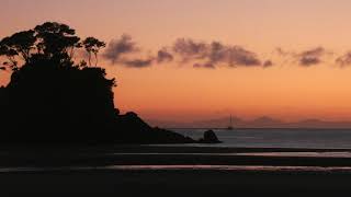 Birdsong of Abel Tasman National Park, New Zealand