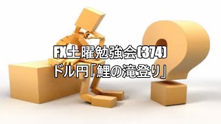 FX土曜勉強会(374)ドル円「鯉の滝登り」