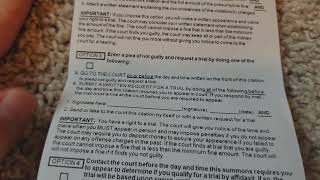 How to plead in a ticket. Which option to choose?
