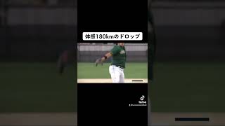 🥎【体感180km】オーストラリアジュニア代表ドロップ　japan men's softball