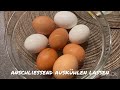 😋quick egg salad homemade delicious simple recipe 👍 spread