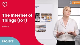 What is the Internet of Things (IoT)? 👩‍💻 | Opexity