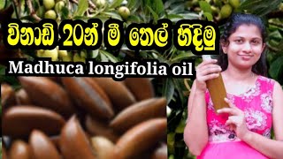 මී තෙල් හිදින හැටි මුල සිට සරළව | Mee thel | How to make Madhuca longifolia oil | Making of mee oil