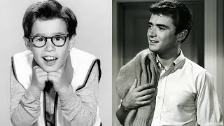 ‘My Three Sons’ star Tim Considine mourned by castmate Barry Livingston: ‘I’ll miss him greatly’