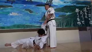 【新極真会】緑健児代表演武 KENJI MIDORI EMBU SHINKYOKUSHINKAI KARATE