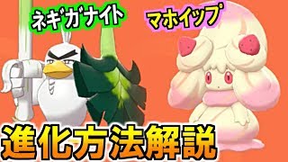 実践動画付きでネギガナイト マホイップ 進化方法を解説！(ポケモン剣盾 ポケットモンスターソード シールド)