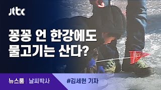 [날씨박사] 꽁꽁 언 한강에도 물고기는 산다?…'물의 비밀' / JTBC 뉴스룸