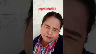 เขาดูถูกว่าหน้าตาหนูขี้เหร่ขี้เหร่ตรงไหน#555#คลายเครียด #funny #comedy #pov #ยำๆพาเที่ยวพากิน