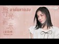 แปลไทย พินอิน มาค้นหาแสง 尋光而來 vanessa jin 金玟岐 ost hello i m at your service 金牌客服董董恩