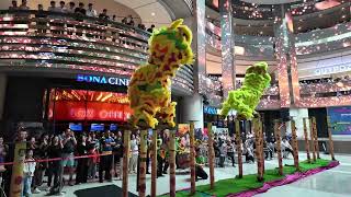 20th Malaysia National Lion Dance Championship 2024 Performance in Genting Highlands