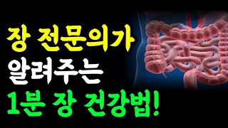 장 전문의사가 말하는 장이 건강해지는 1분 습관! / 명언 오디오북 건강정보 책읽어주는남자