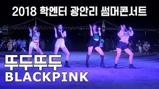 BLACKPINK (블랙핑크) - 뚜두뚜두 (DDU-DU DDU-DU) (COVER)