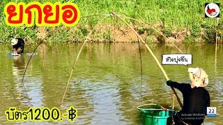 ยกยอ บัตร1200 ►Fishing lifestyle Ep.340