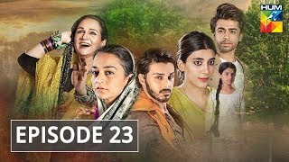 Udaari Episode 23 HUM TV Drama