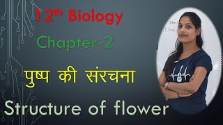 12th biology पुष्प की संरचना (structure of flower)