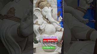 Thanod Ganesh Murti 2024 #thanodganeshmurtistatus #ganeshchaturthi #shorts #viral #ganeshbestmurti