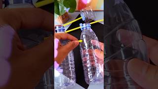 Let's make a project | recycling of bottles | #shorts #youtubeshorts #diy #craft