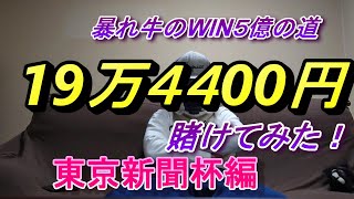 【ウインファイブ】19万4400円賭けてみた！東京新聞杯の巻～